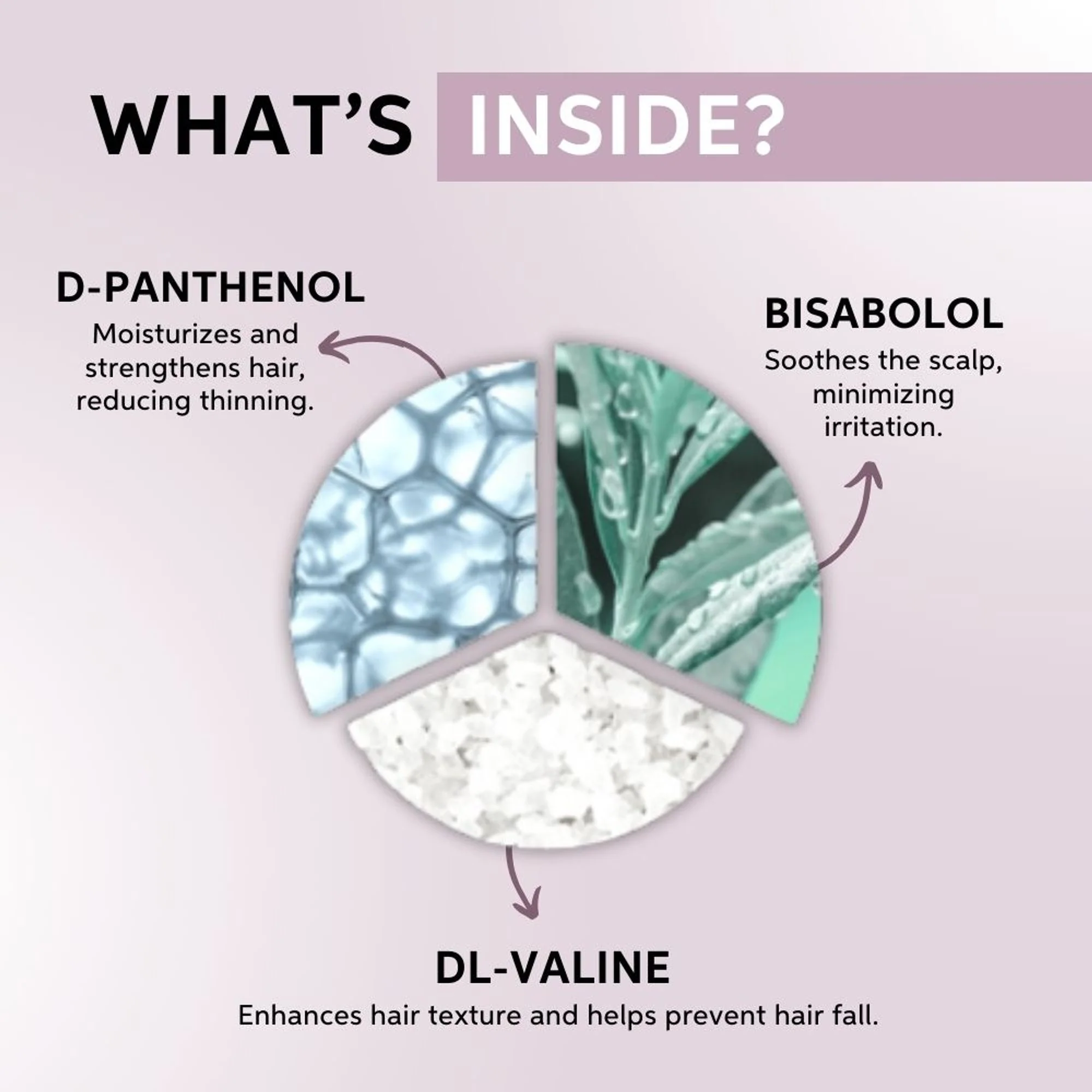 System Professional Balance Scalp Energy Serum for Hair Fall Control & Scalp Care - Image 4