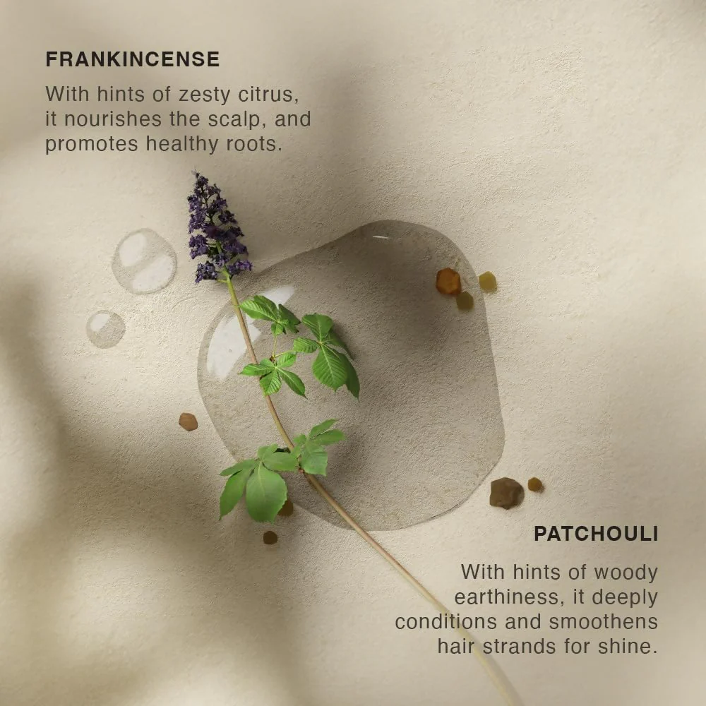 Vinci Botanicals Frankincense Patchouli Hair Cleanser - Image 7
