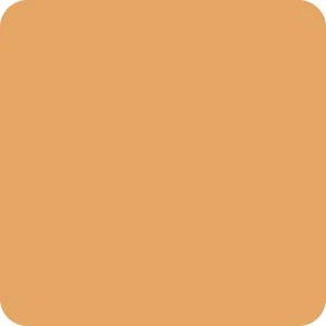 Yaan Man Combat Ready Pack (Light Shade) - Image 8