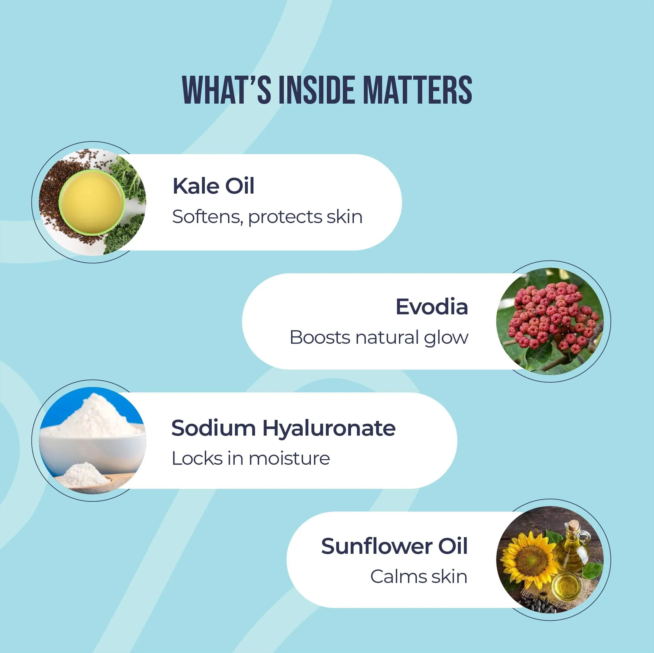 Yaan Man Tinted Navigator Moisturizer for Men With Kale Oil & Trehalose - Image 4